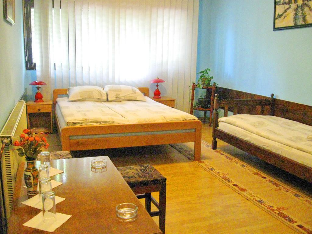 Amfora Rooms Caribrod Dimitrovgrad Quarto foto
