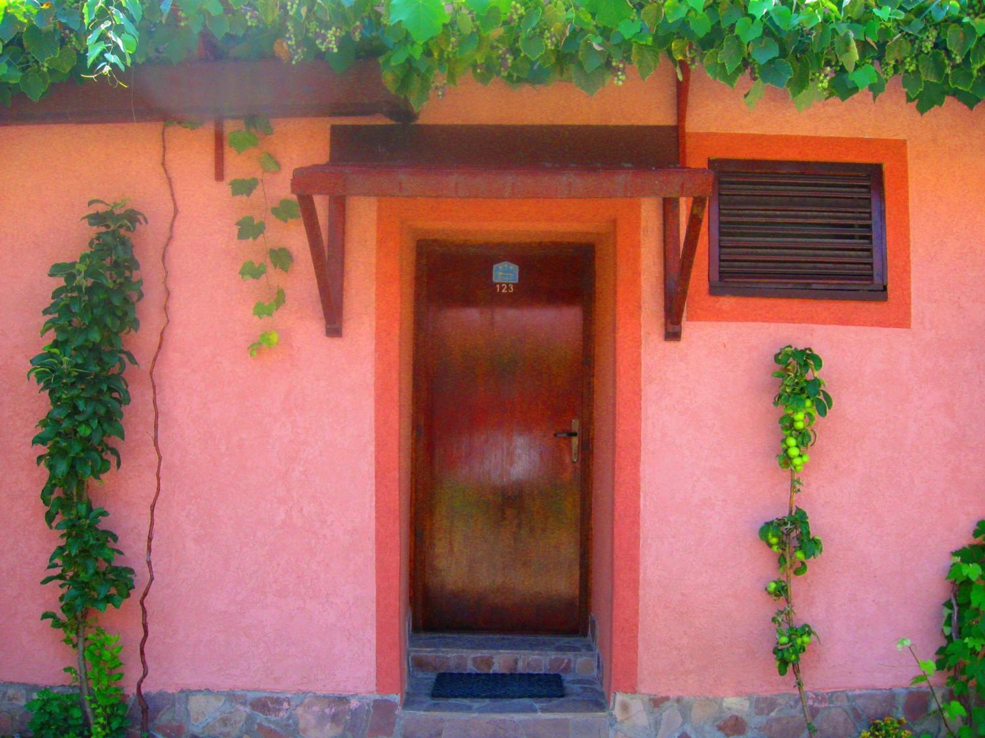 Amfora Rooms Caribrod Dimitrovgrad Quarto foto